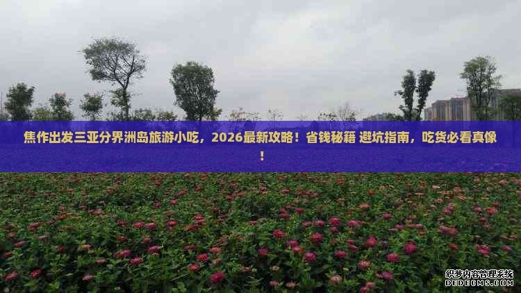 2026深圳演唱会最新消息(更新中)